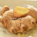 Jugo de extracto de raíz de jengibre puro orgánico